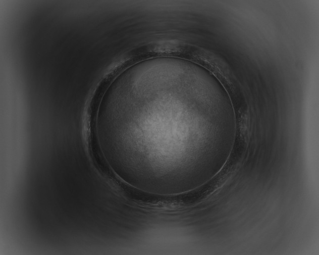 X0000100890727200806241231