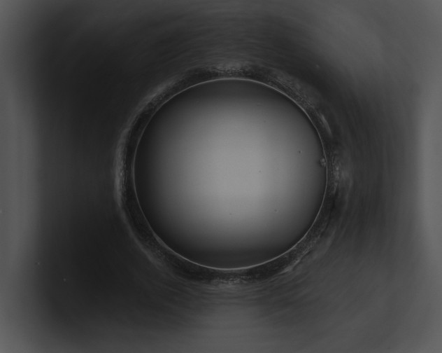 X0000100890728200806241231