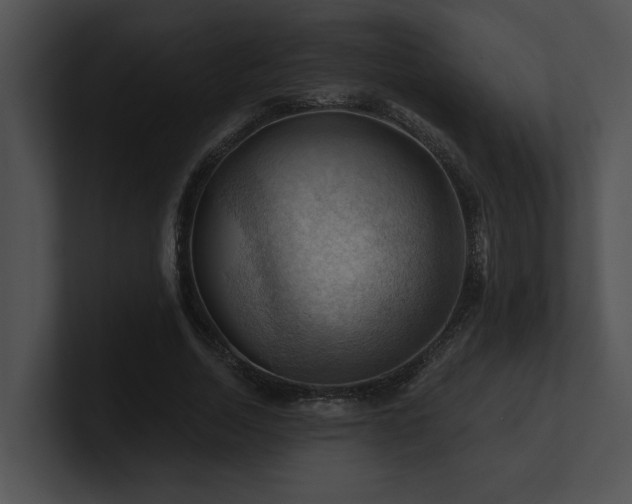 X0000100890730200806241231