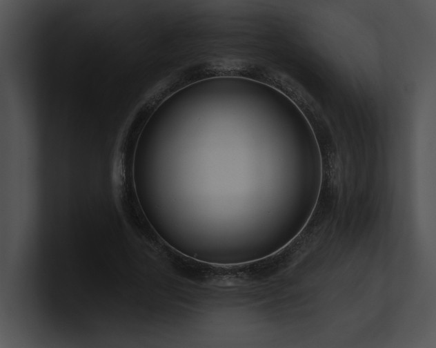 X0000100890731200806241231
