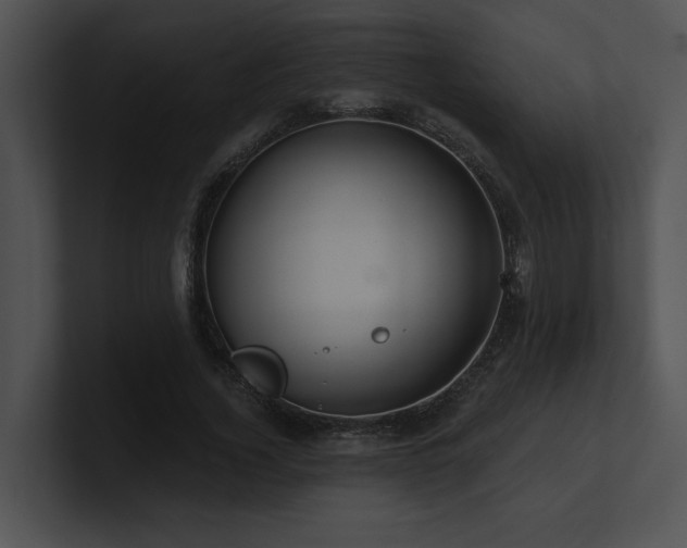 X0000100890732200806241231