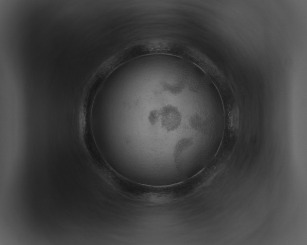 X0000100890733200806241231