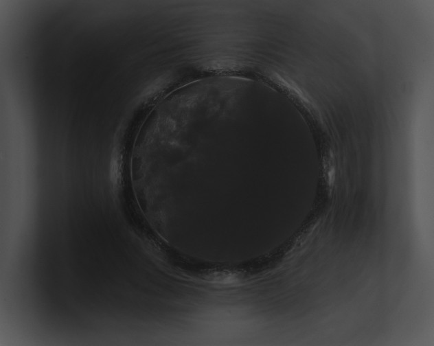 X0000100890735200806241231