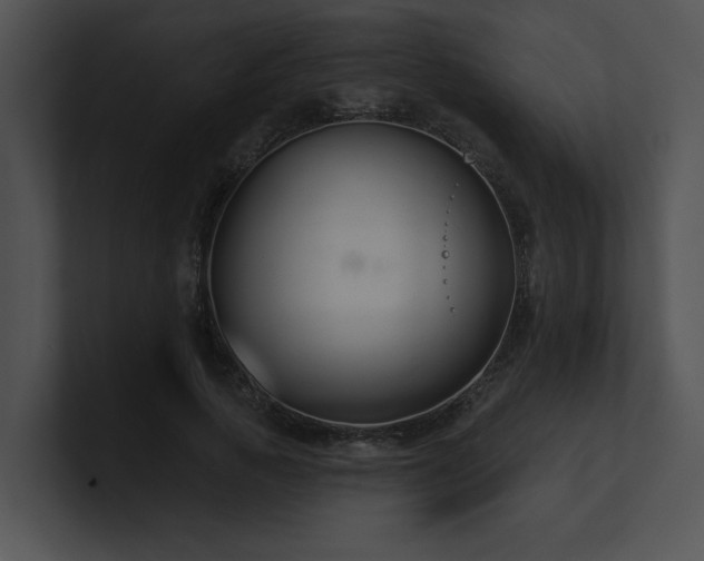 X0000100890737200806241231