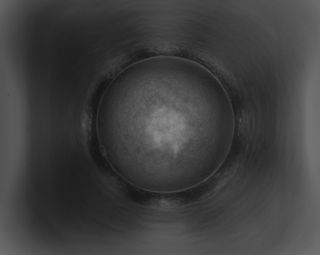 X0000100890739200806241231