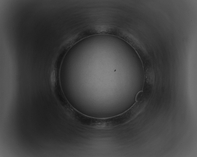 X0000100890740200806241231