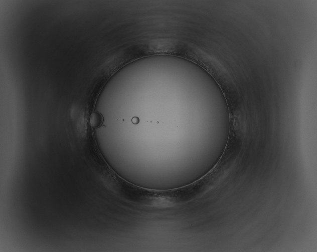 X0000100890741200806241231