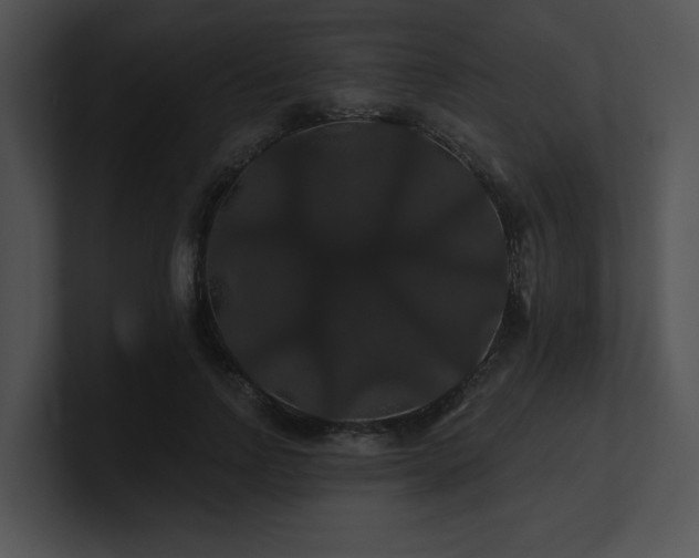 X0000100890742200806241231