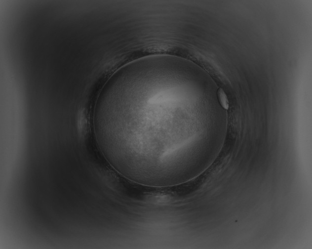 X0000100890743200806241231