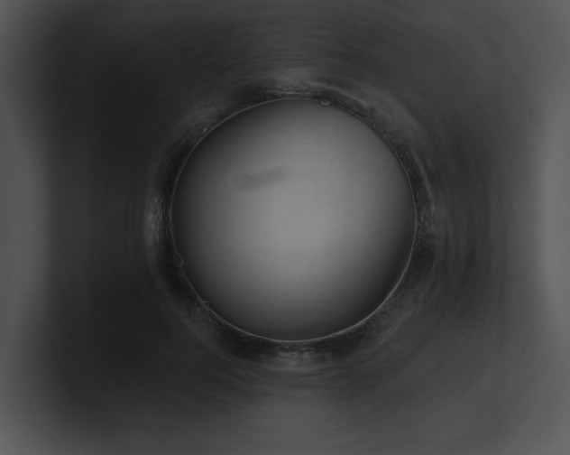 X0000100890744200806241231
