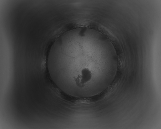 X0000100890745200806241231