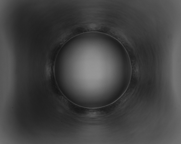 X0000100890746200806241231