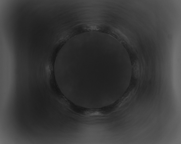 X0000100890747200806241231