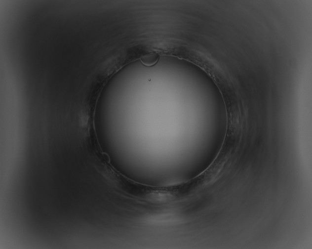 X0000100890749200806241231