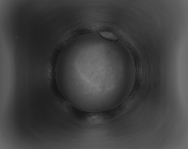 X0000100890750200806241231