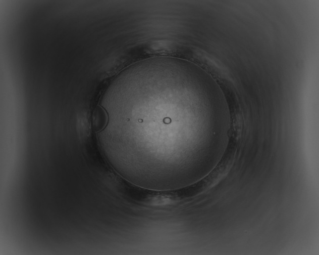 X0000100890751200806241231