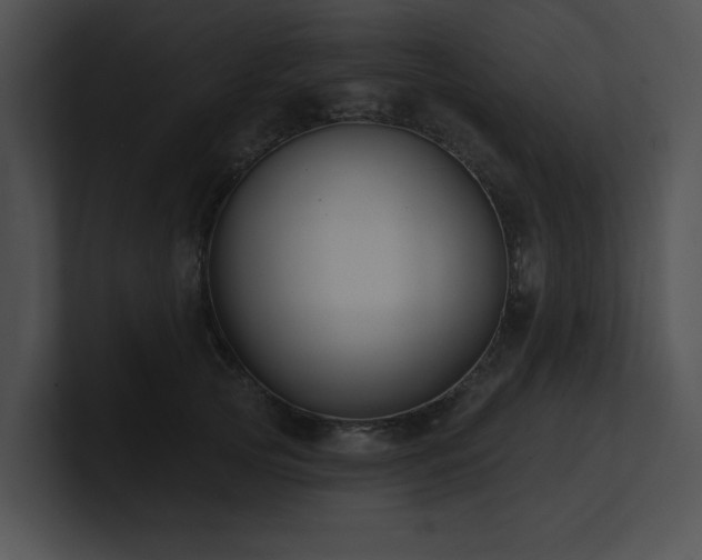 X0000100890753200806241231