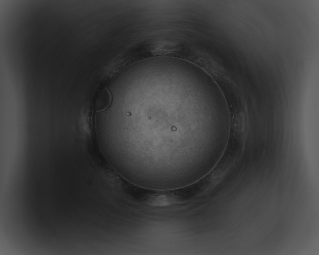 X0000100890755200806241231