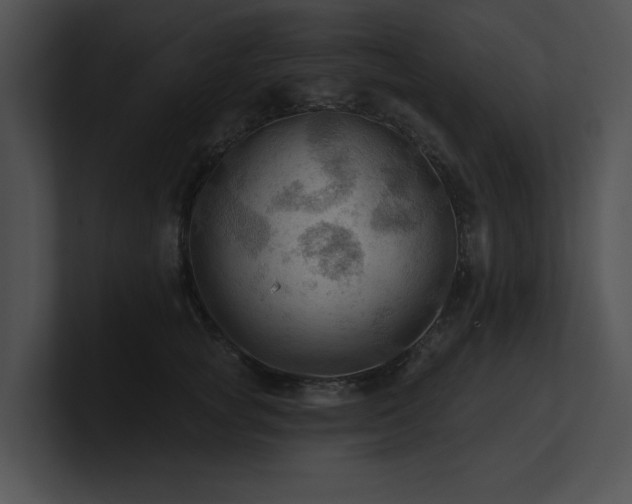 X0000100890757200806241231