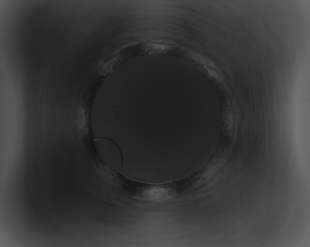 X0000100890759200806241231