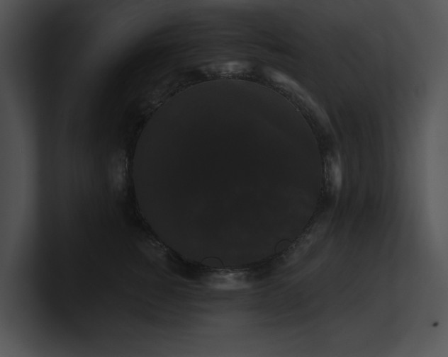 X0000100890760200806241231