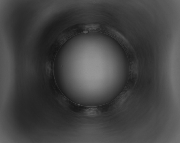 X0000100890761200806241231