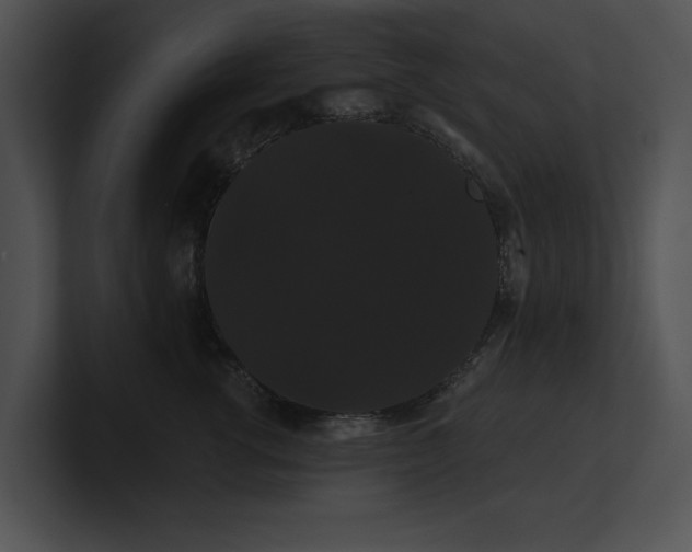 X0000100890762200806241231
