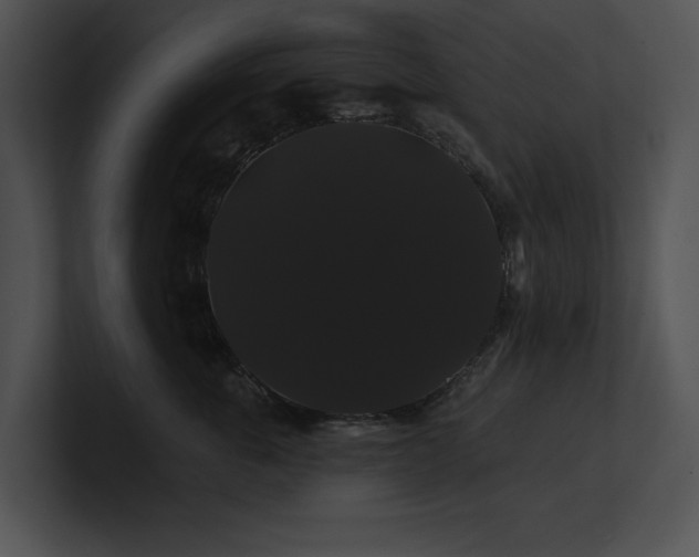 X0000100890763200806241231