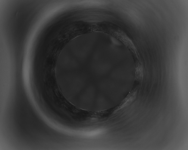 X0000100890765200806241231
