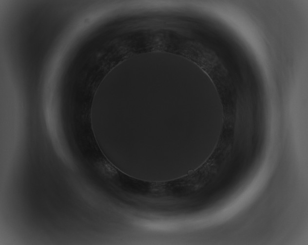 X0000100890766200806241231
