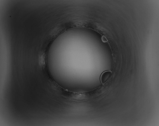 X0000100890768200806241231