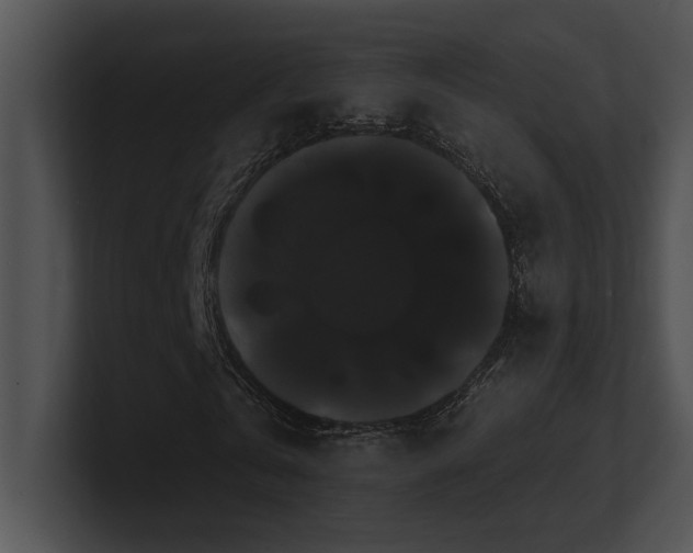 X0000100890769200806241231