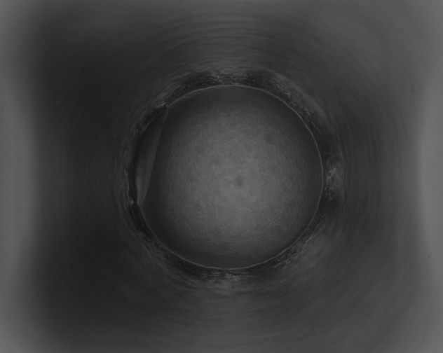 X0000100890772200806241231
