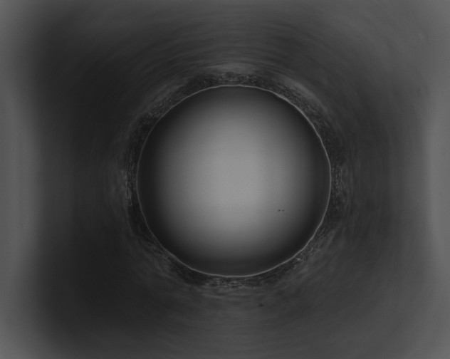 X0000100890774200806241231