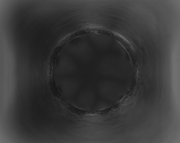 X0000100890775200806241230