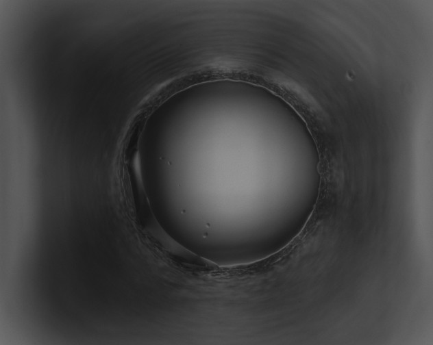 X0000100890776200806241230
