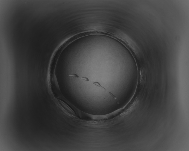 X0000100890780200806241230