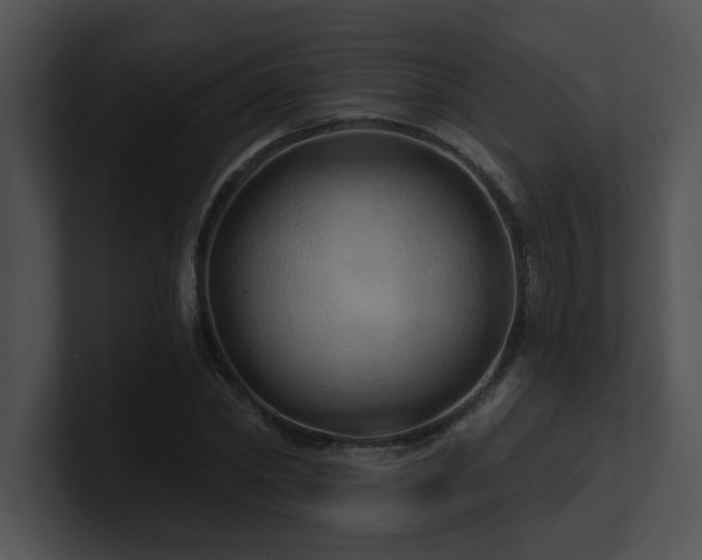 X0000100890782200806241230