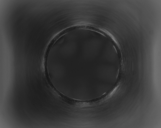 X0000100890783200806241230