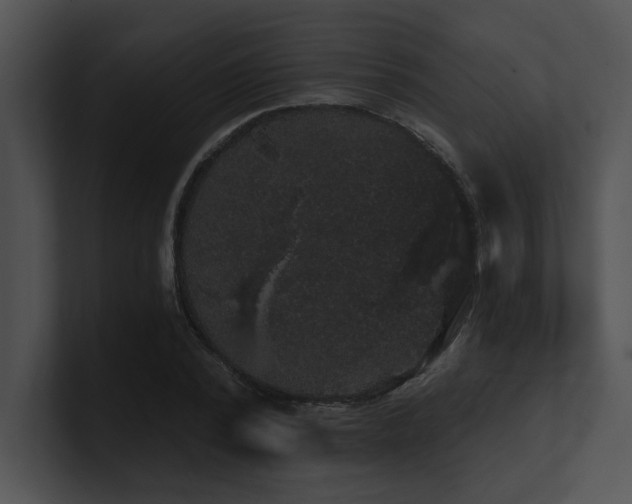 X0000100890784200806241230