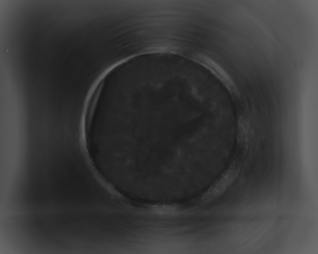 X0000100890788200806241230