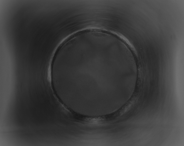 X0000100890791200806241230
