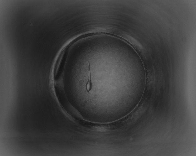 X0000100890792200806241230