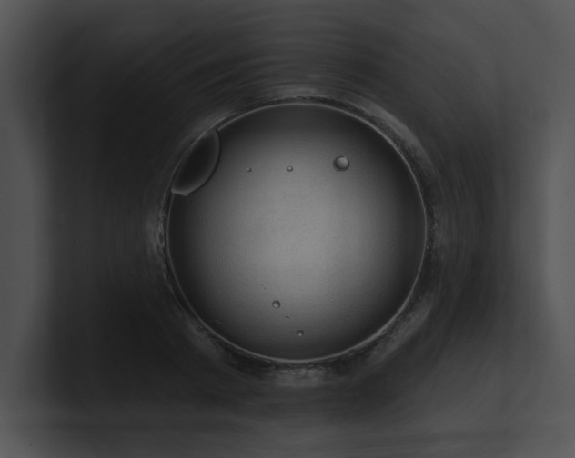 X0000100890793200806241230