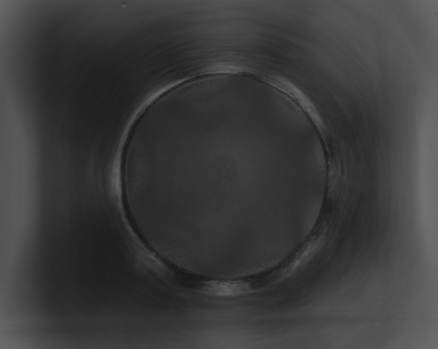 X0000100890795200806241230