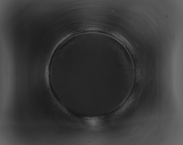 X0000100890798200806241230