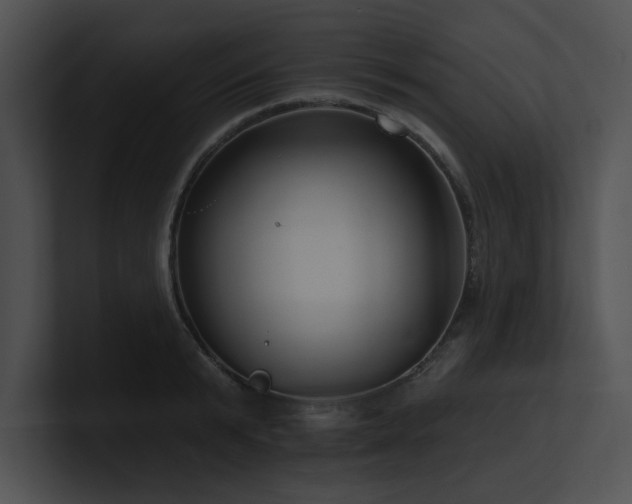 X0000100890799200806241230
