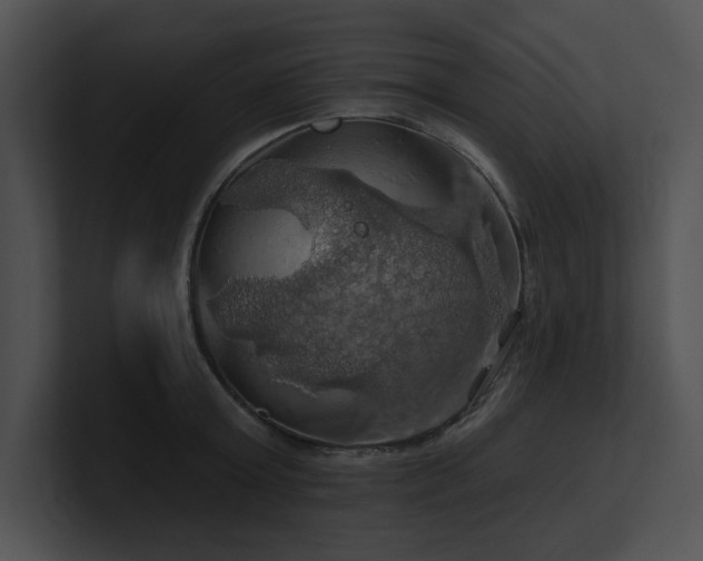 X0000100890803200806241230