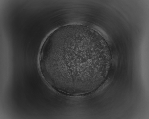 X0000100890804200806241230