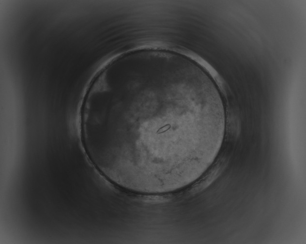 X0000100890807200806241230